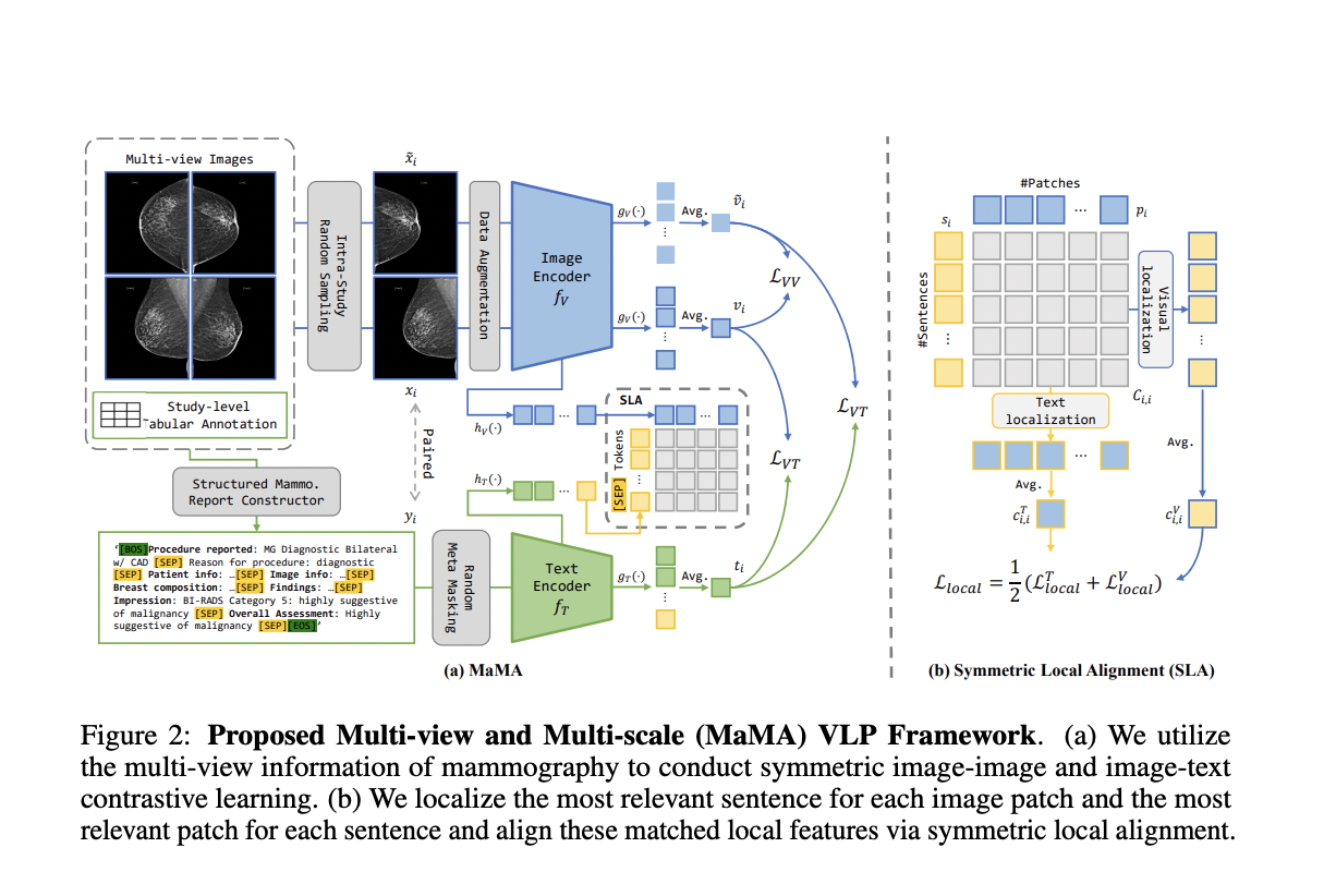 Alineación multivista y multiescala (MaMA): avance de la mamografía con aprendizaje contrastivo y preentrenamiento del lenguaje visual