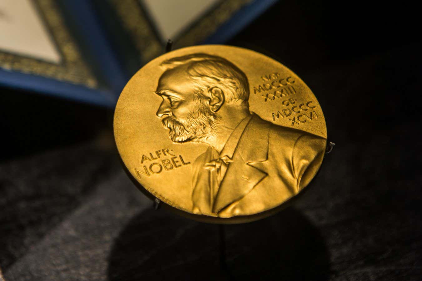 Los premios Nobel siguen sin celebrar la diversidad de la ciencia