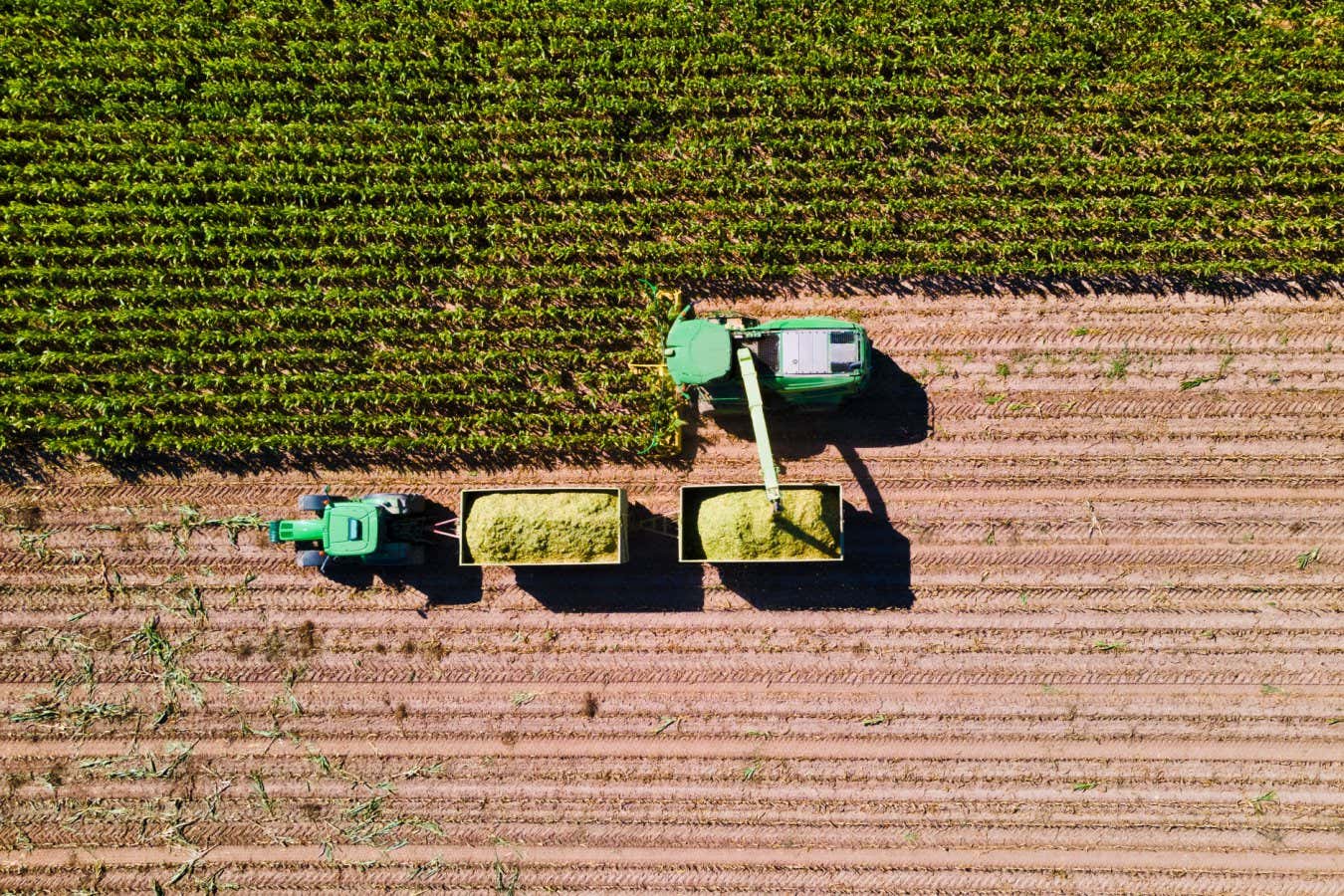 Corn harvest in the fields with transporter and harvester from above; Shutterstock ID 1994046068; purchase_order: -; job: -; client: -; other: -