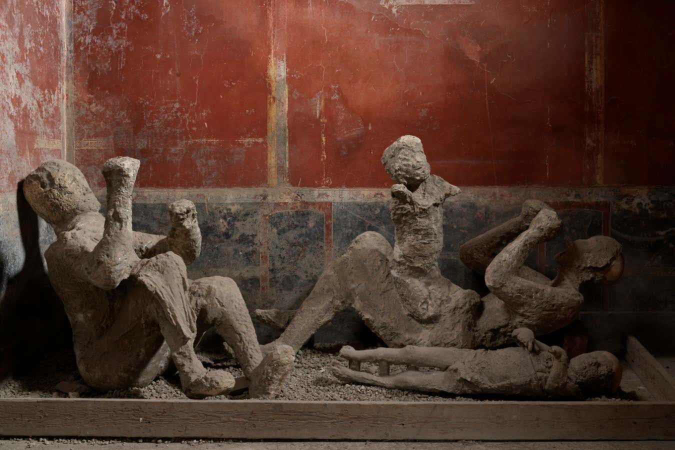 El análisis de ADN reescribe las historias de las personas enterradas en Pompeya