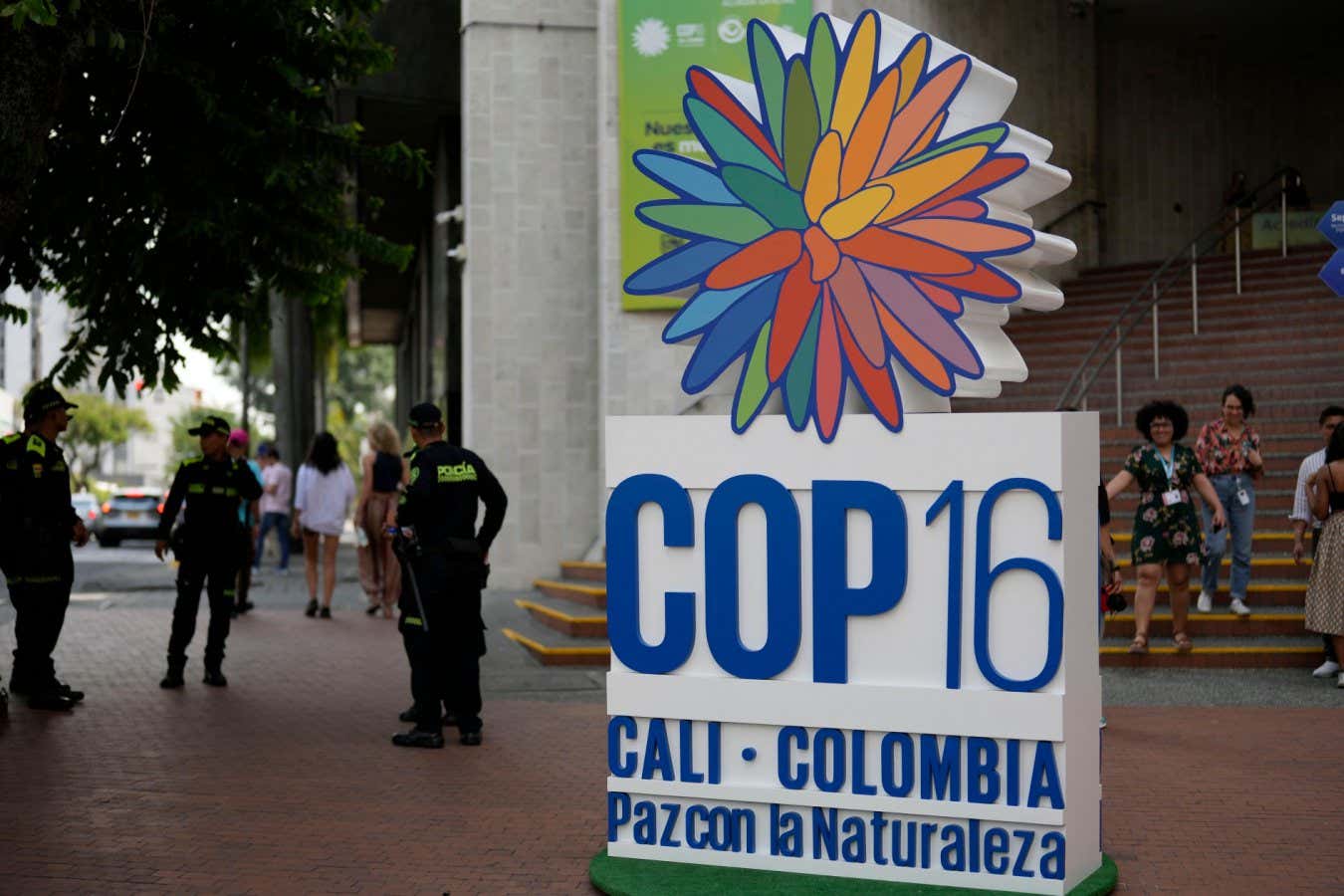 La cumbre sobre biodiversidad COP16 fue un gran fracaso para la protección de la naturaleza