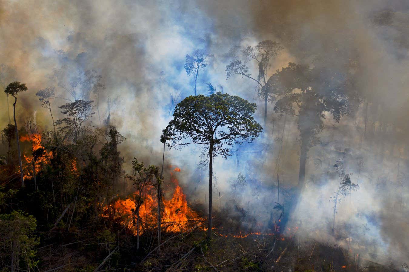 La sequía, los incendios y los combustibles fósiles elevan las emisiones de CO2 a un nivel récord